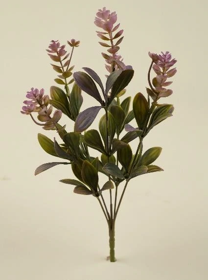Eucalyptus with Tradescantia leaves Bunch x 5